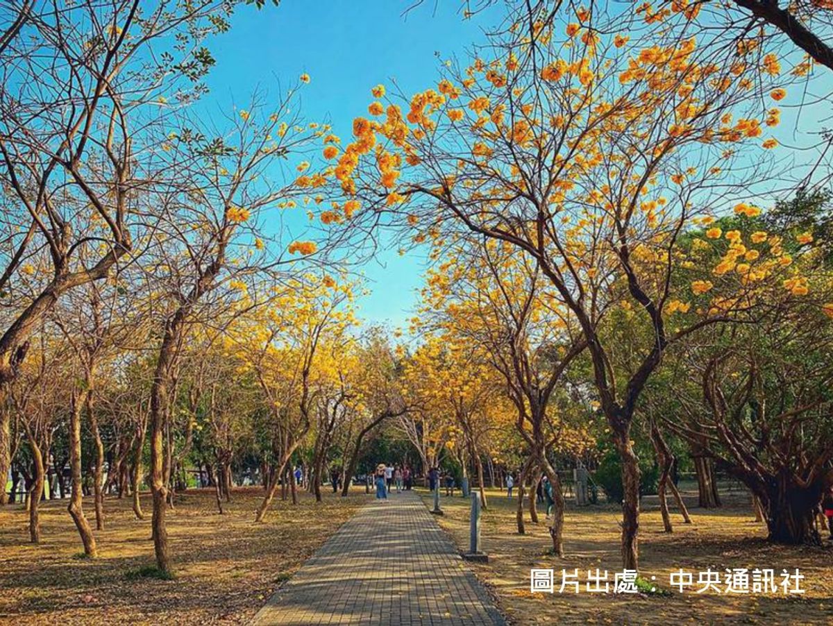 3月億載金城絢麗花海，是你散步的花園